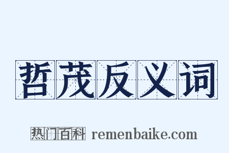 哲茂反义词是什么意思的图片